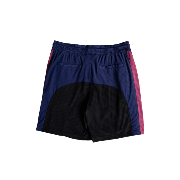 Champion Basketball Shorts (Blue/Red)