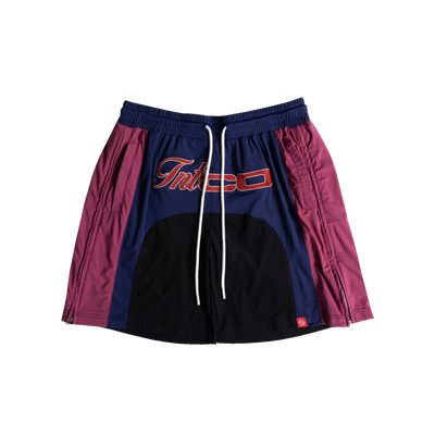 Champion Basketball Shorts (Blue/Red)