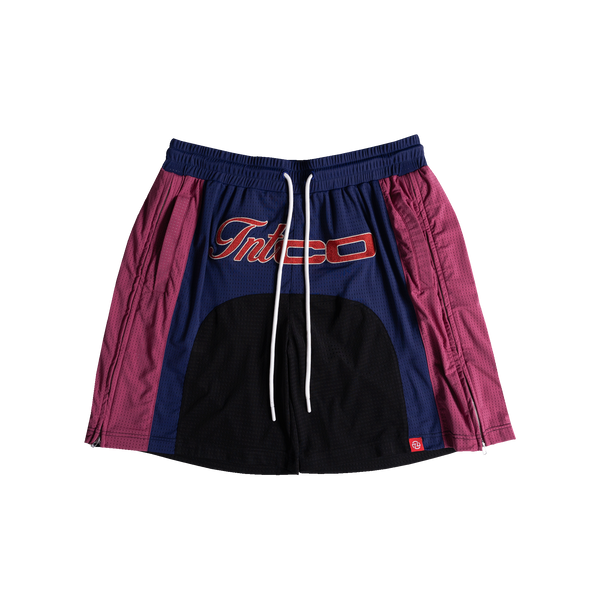 Champion Basketball Shorts (Blue/Red)