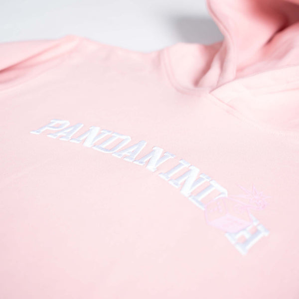 PI Hoodie (Pink)