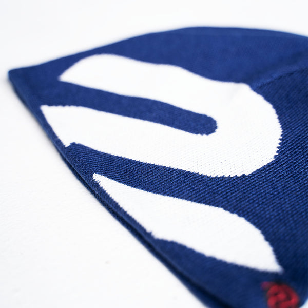 B2P Beanie (Navy)