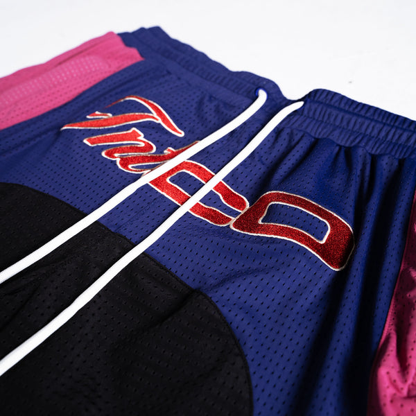 Champion Basketball Shorts (Blue/Red)