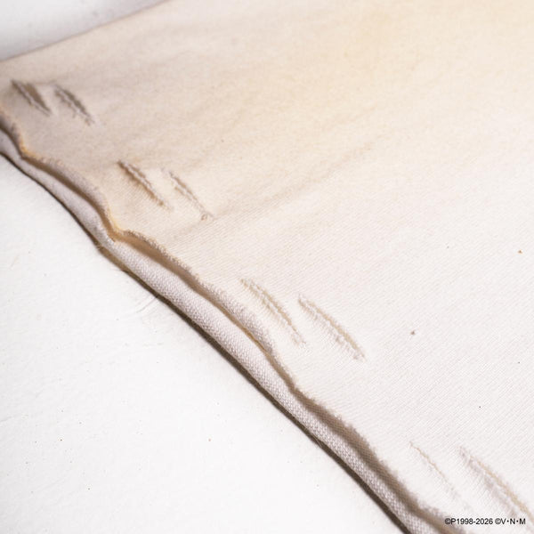 Jajaken Ripped Crop Tee (Beige)