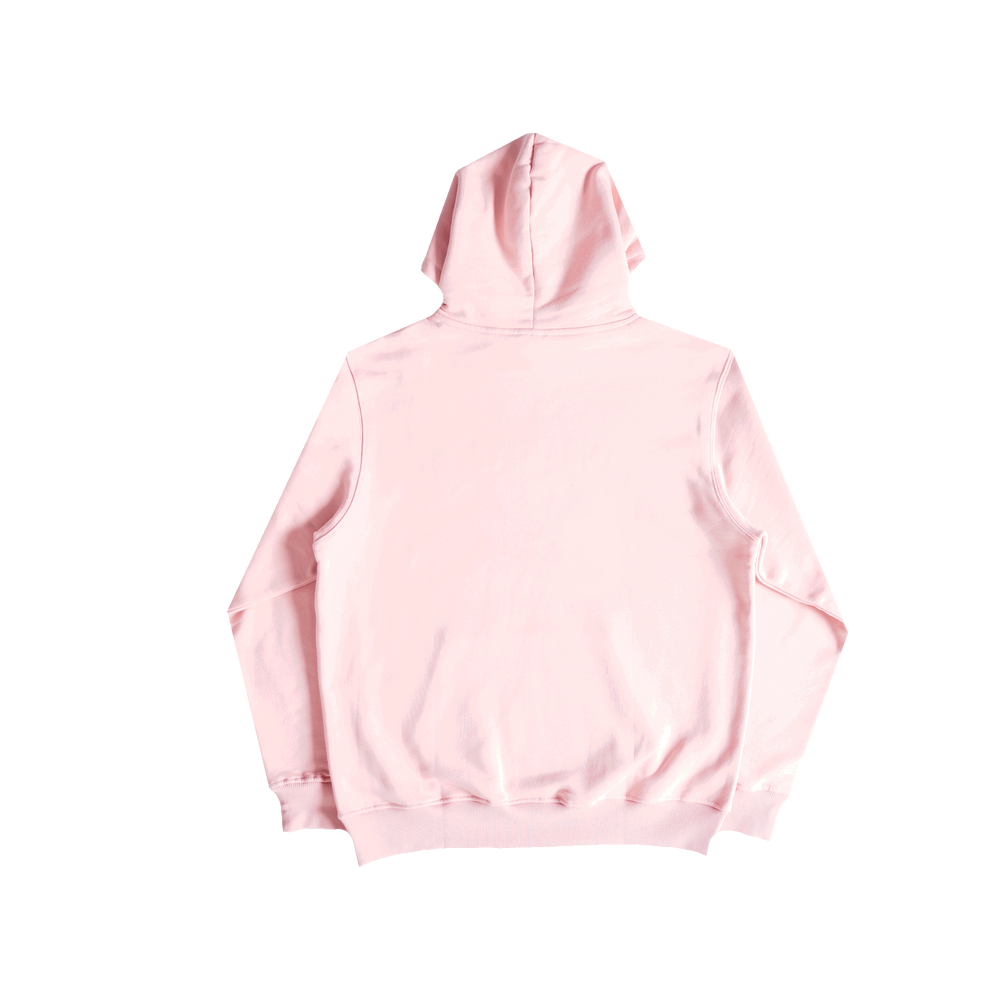 PI Hoodie (Pink)